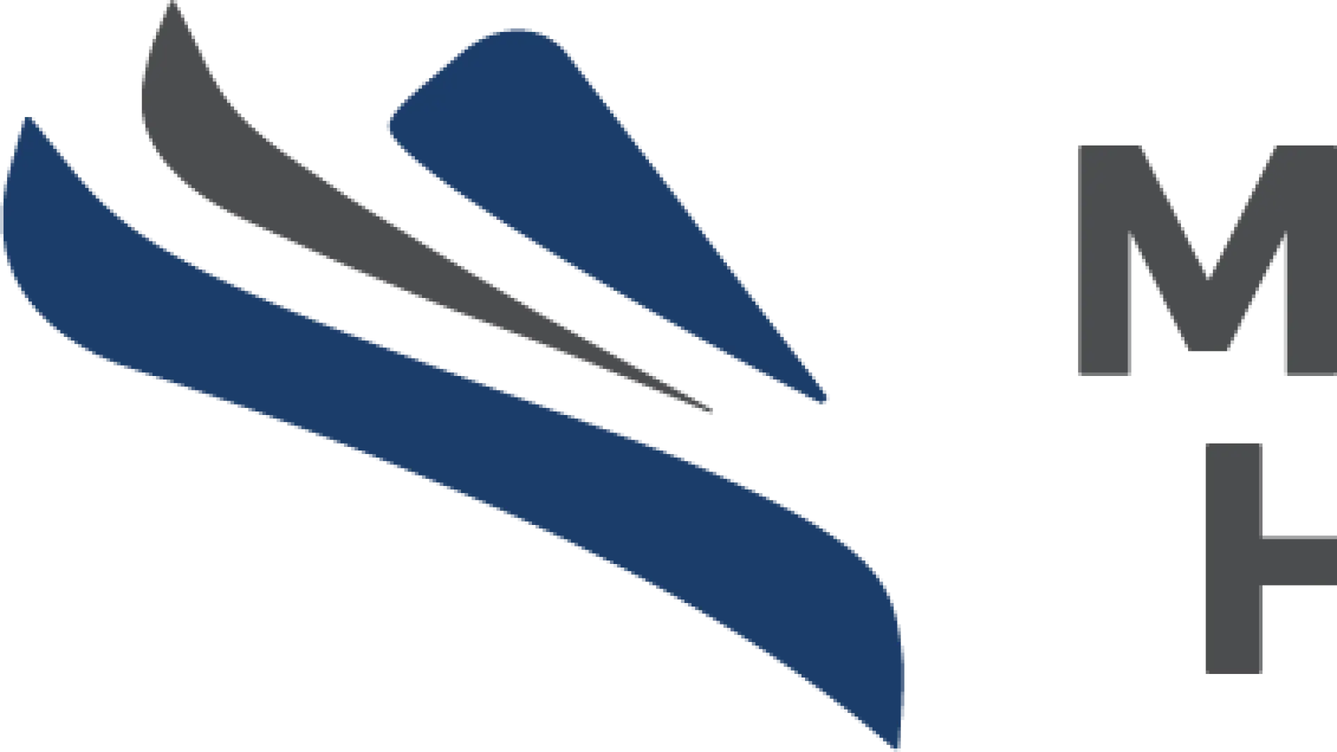 mt van hoevenberg logo