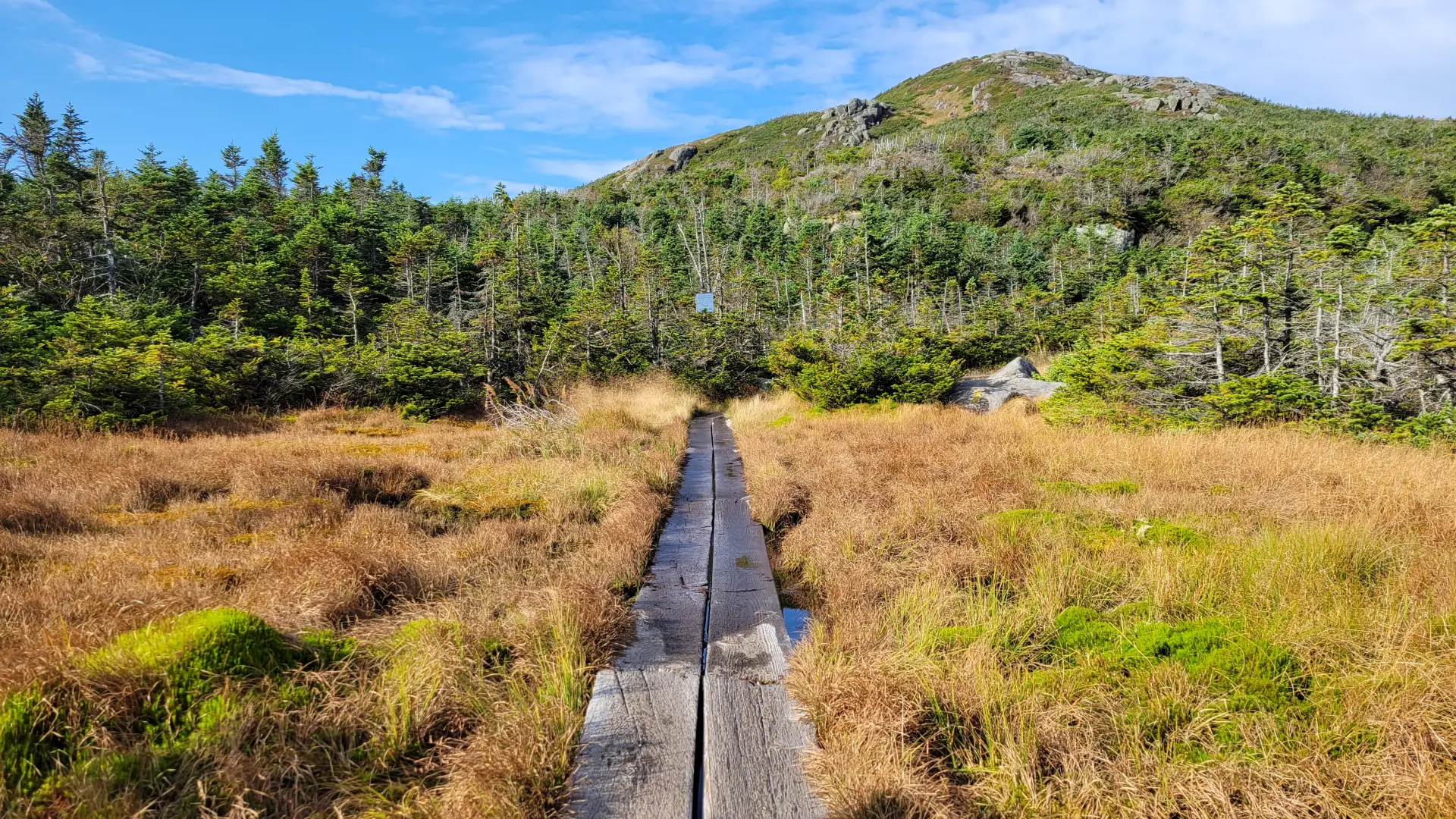 A boardwalk in a boggy area on the way to Mount Marcy
