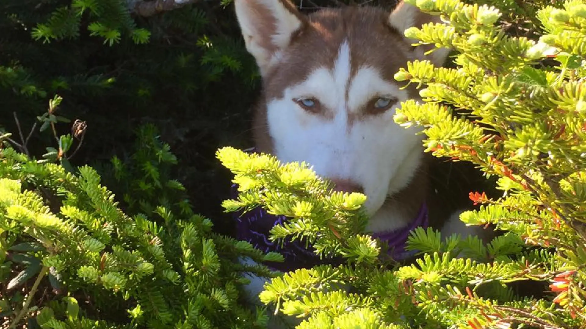 She found some shade from the sun for a quick break along the trail.