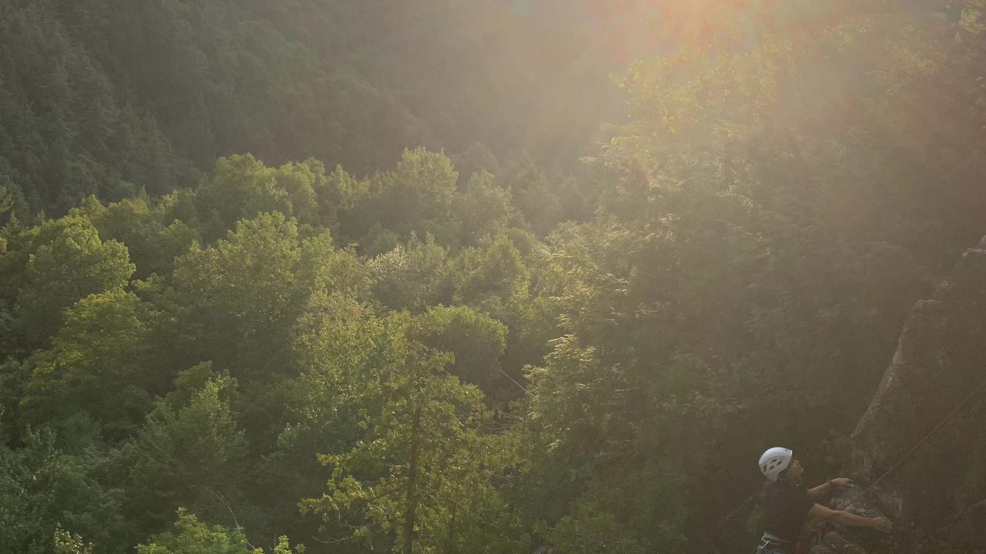 A rock climber ascends a cliff face silhouetted against a bright sunset and lush green forest.