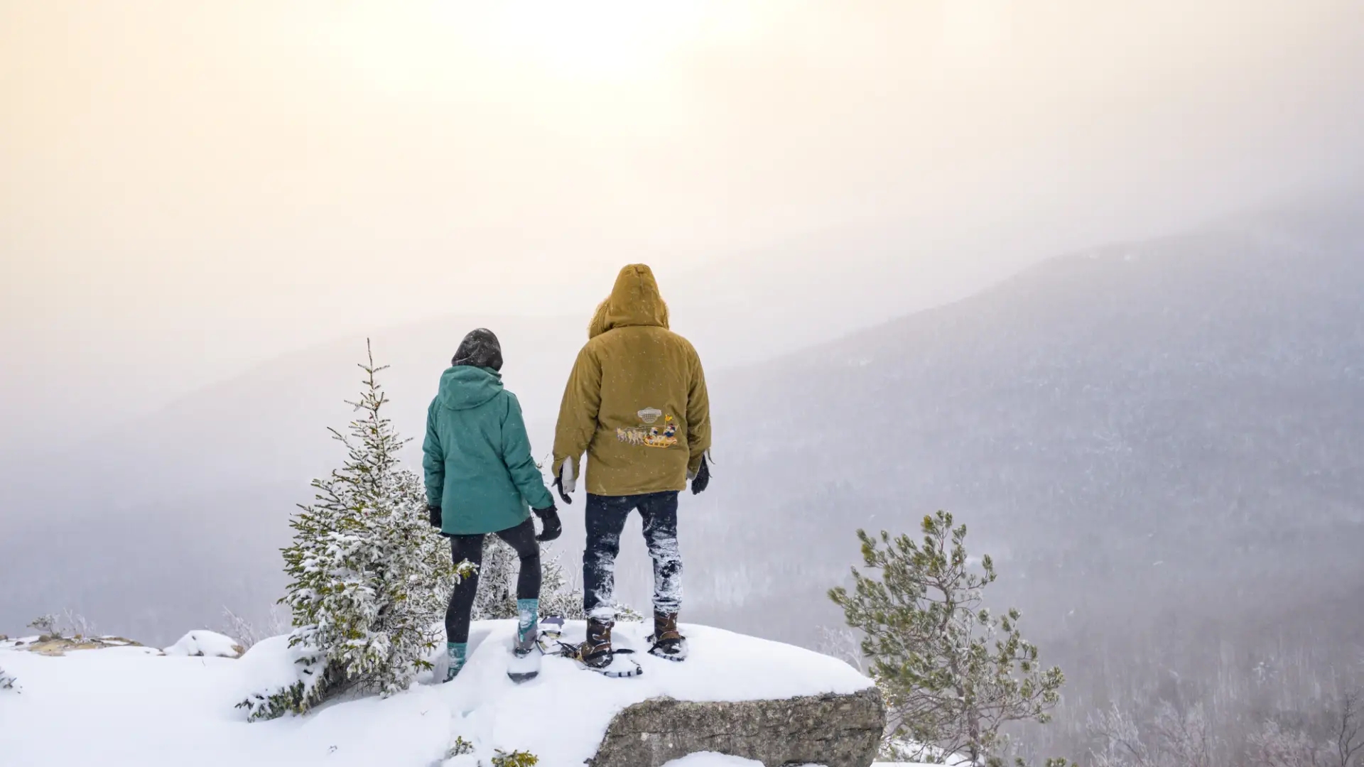 The view from the top of Cobble Lookout during winter