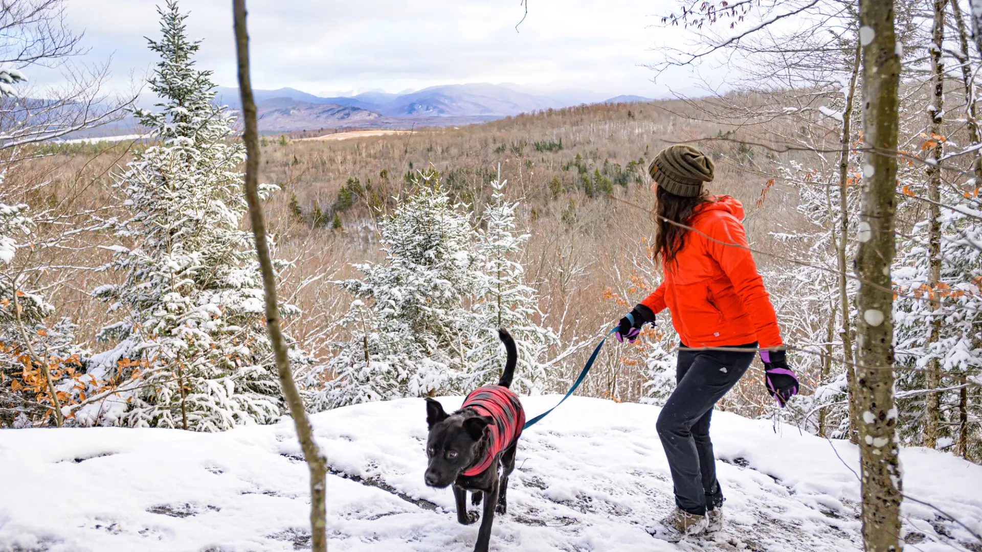 A woman hiking with her dog, standing at the top of a wintery summit.