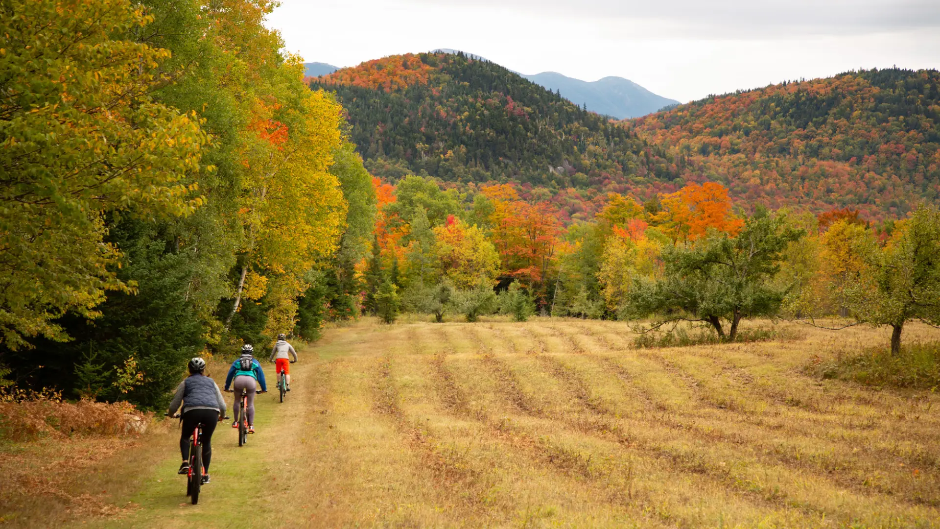 People biking on a trail during the fall with fall foliage and mountains surrounding them.