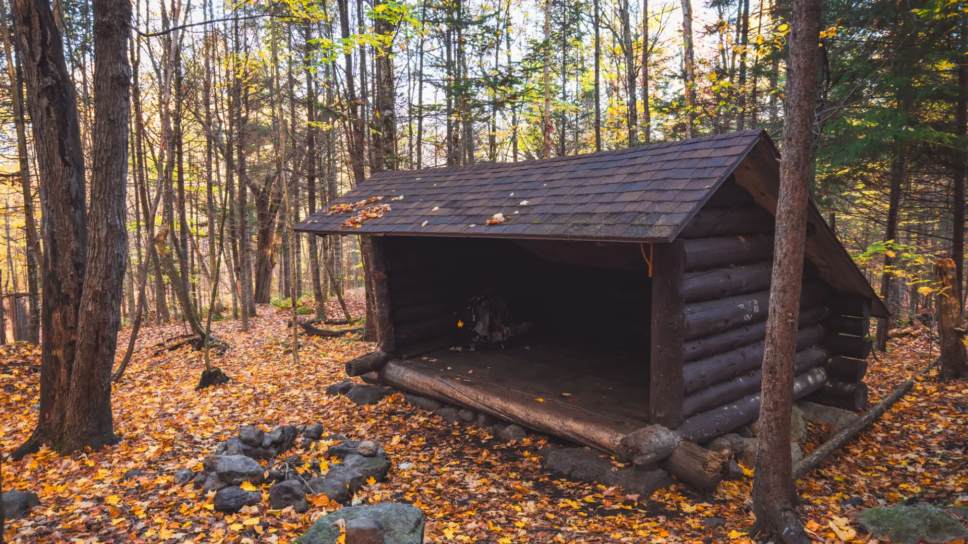 A lean-to in the fall