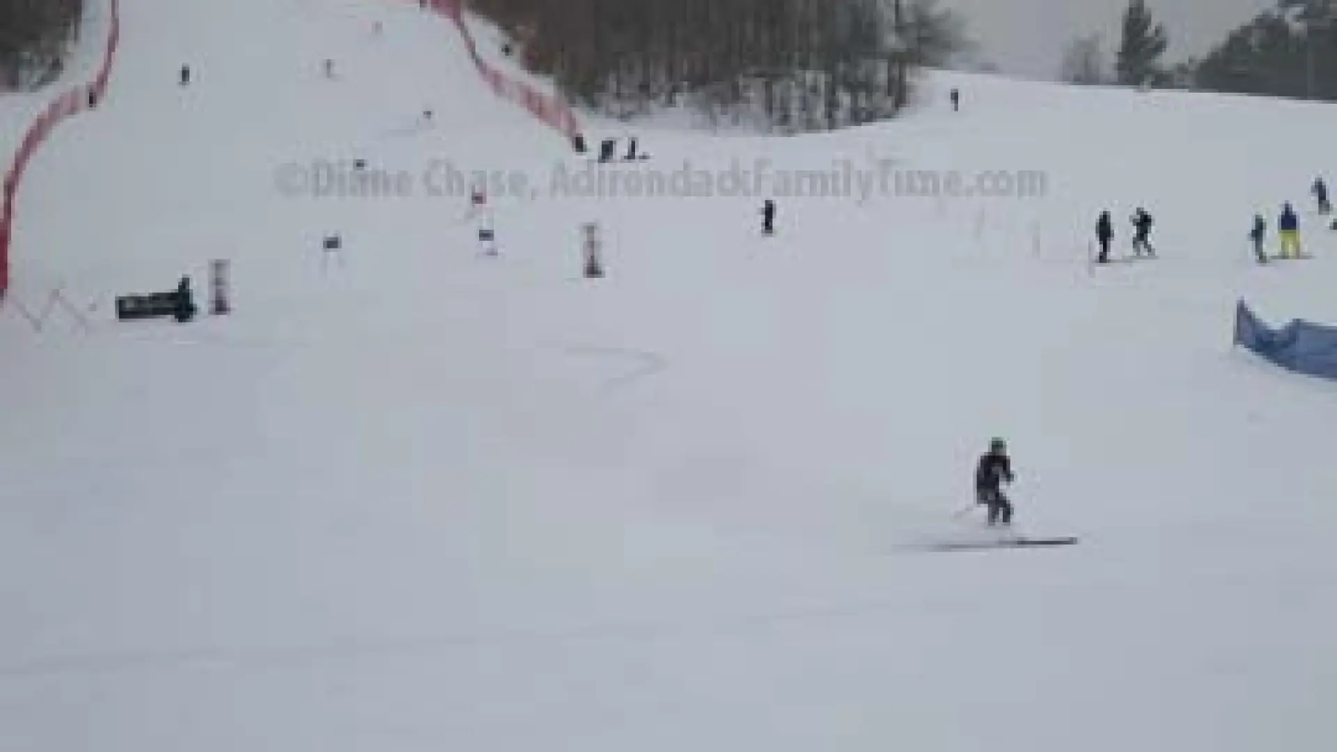 Whiteface SG races