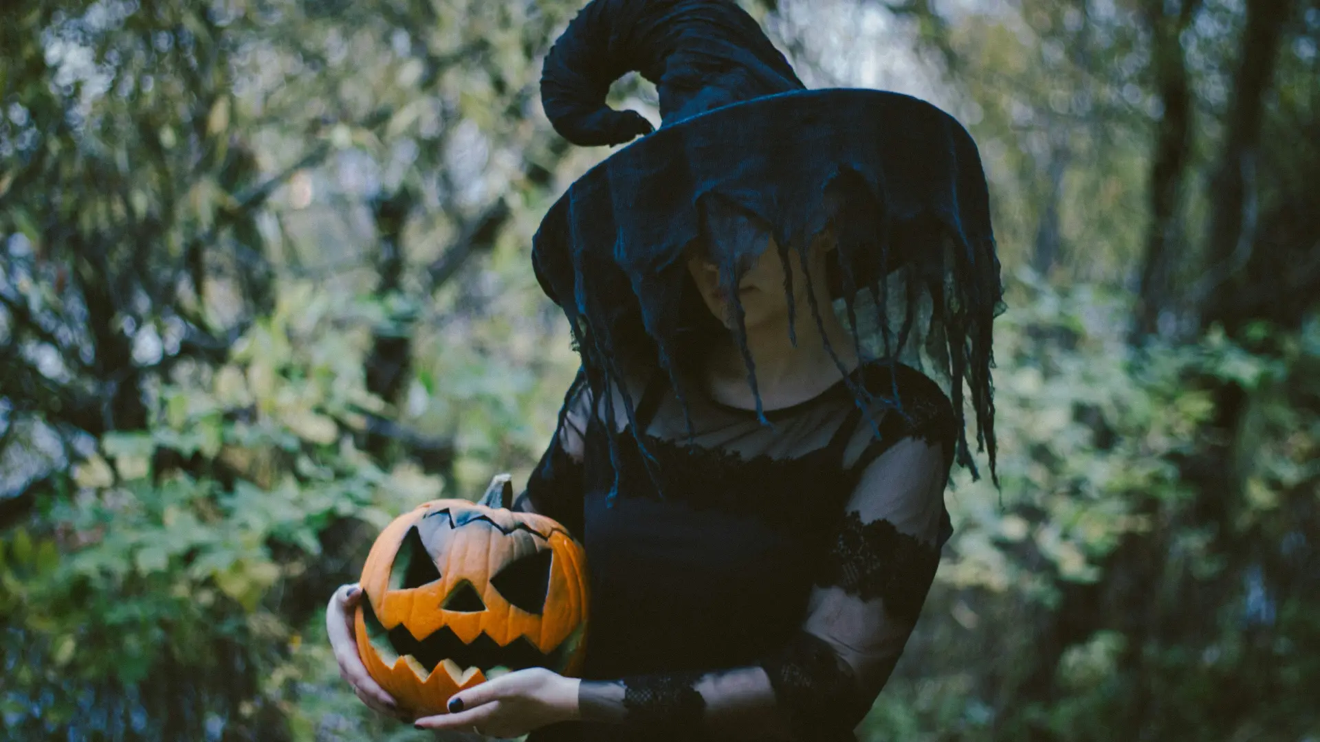 Stock image of person in witches costume and hat with a black veil over their face standing holding a jack-o-lantern in a green forest.