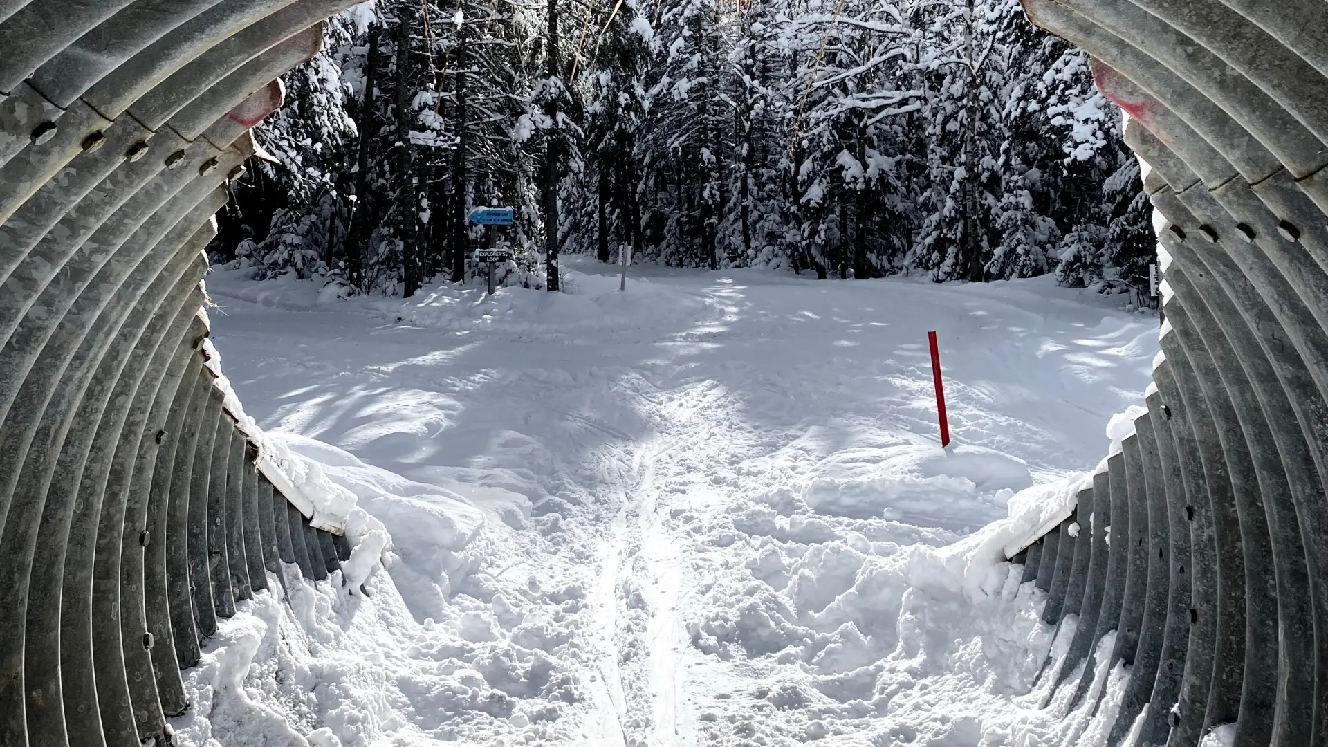 Tunnel to ski through on cross-country ski trail.