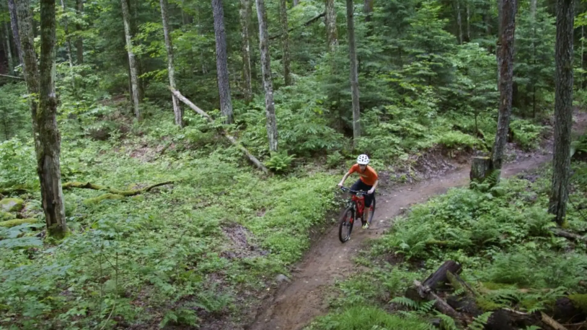 Craigwood Trails from earlier this summer
