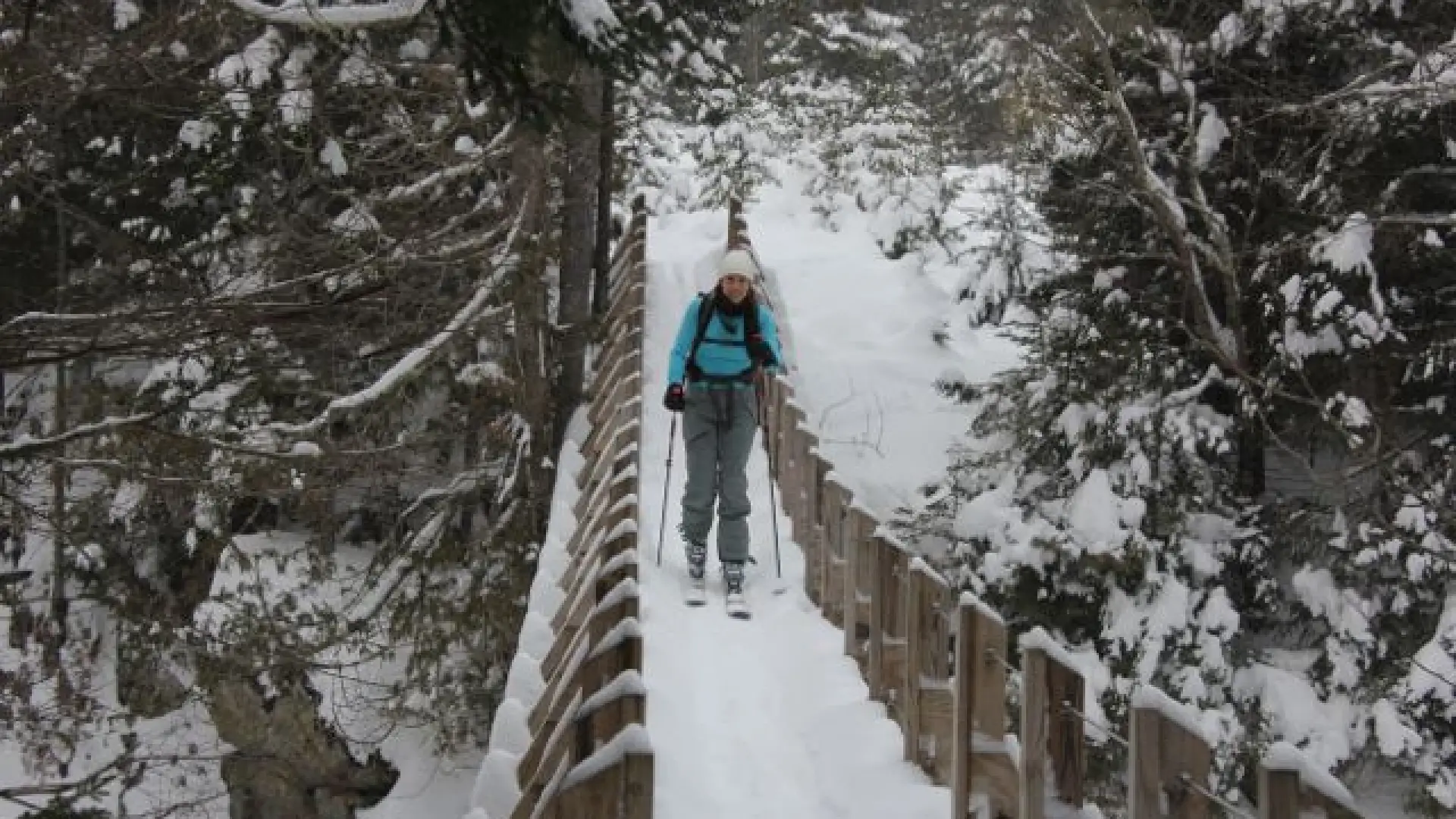 A guided backcountry ski tour with High Peaks Mountain Guides may take you to The John's Brook Valley shown in this picture