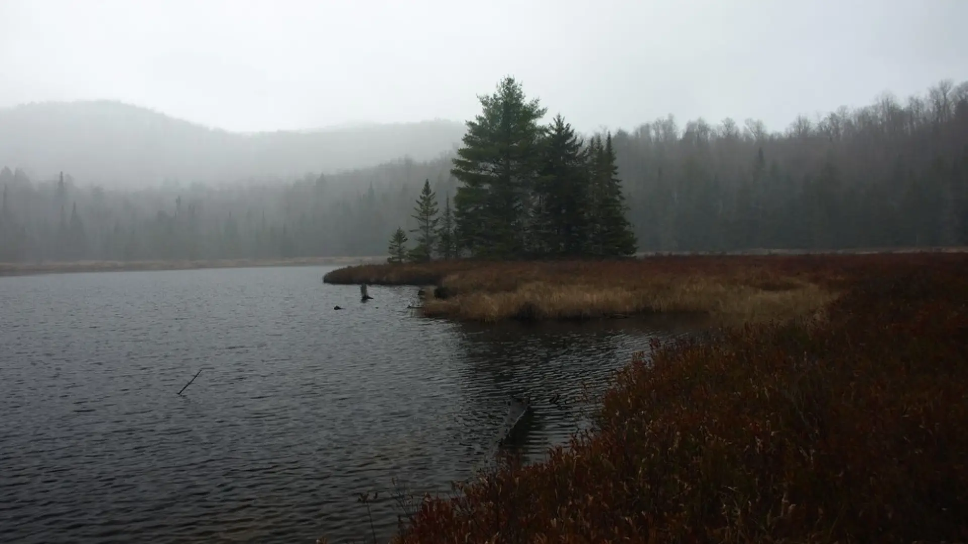 Great views in any season.