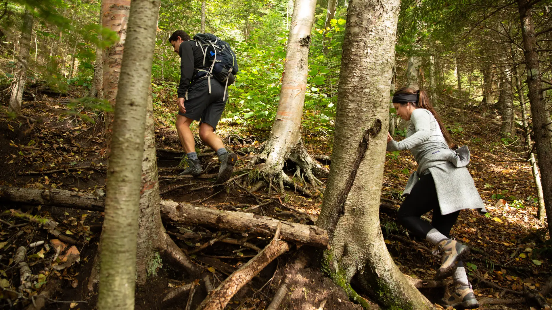 A lot of rugged trail to this destination deep in the forest.