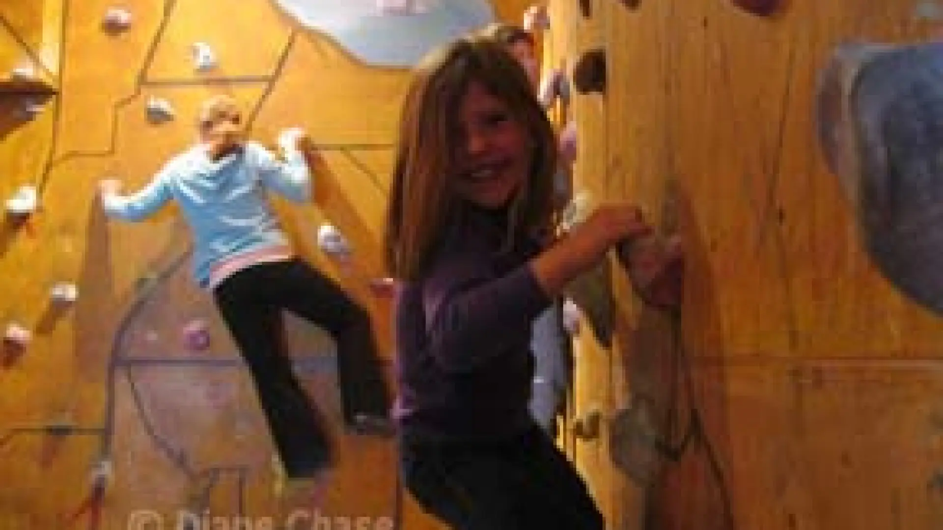 The Climbery Rock Wall