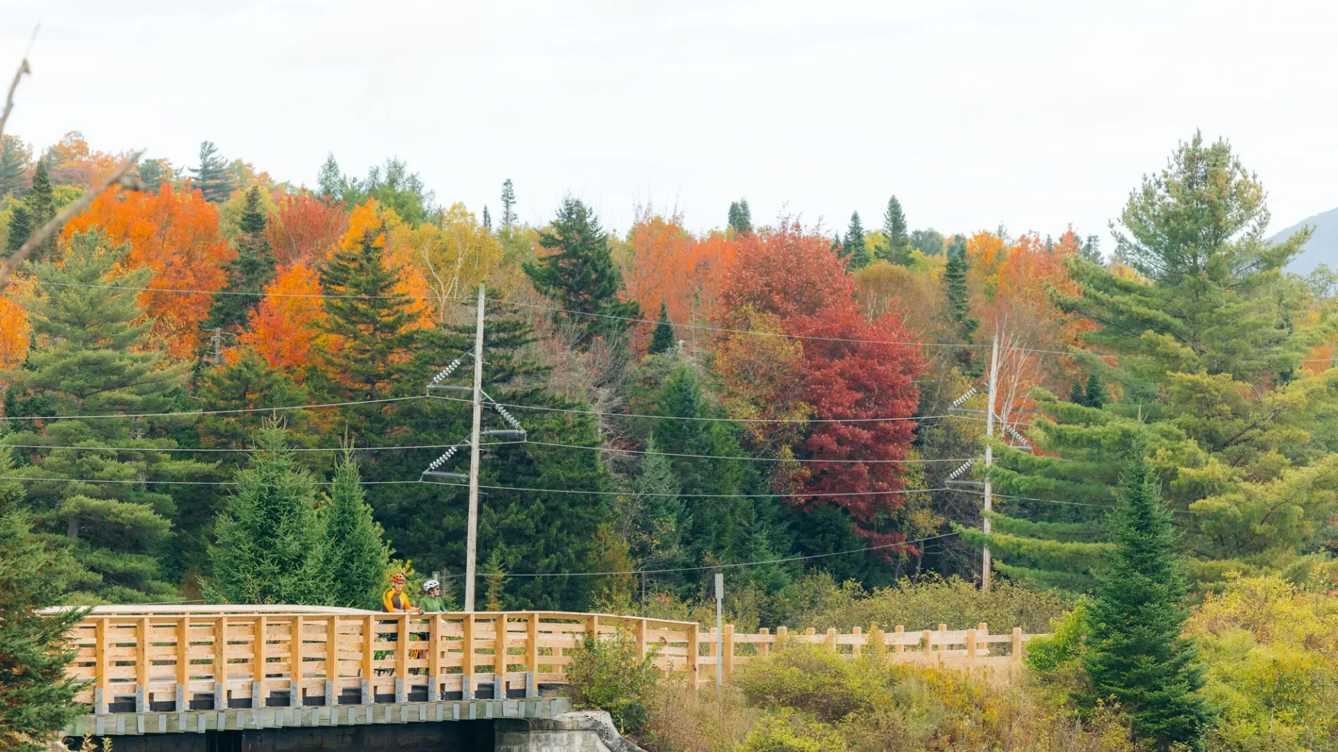 The Adirondack Rail Trail with fall foliage.
