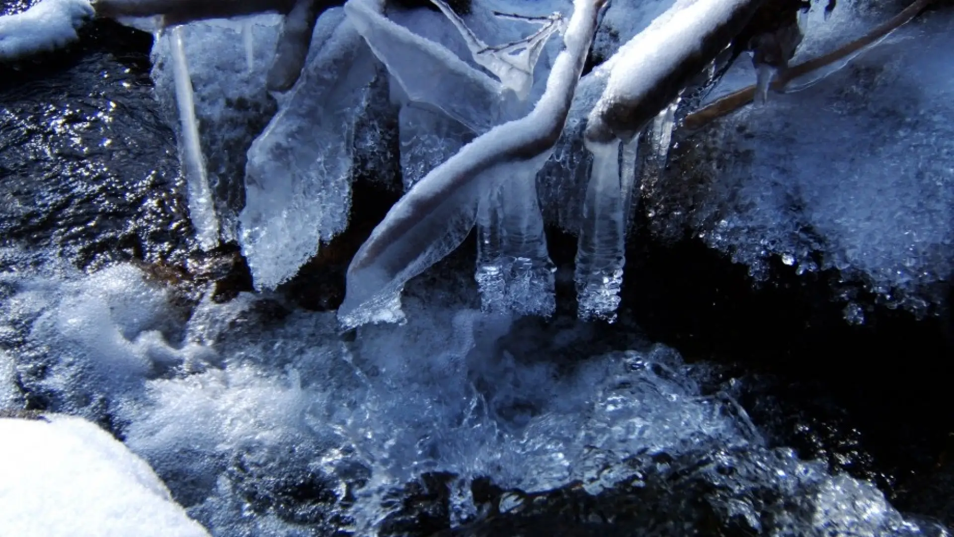 Ice formations in the brook