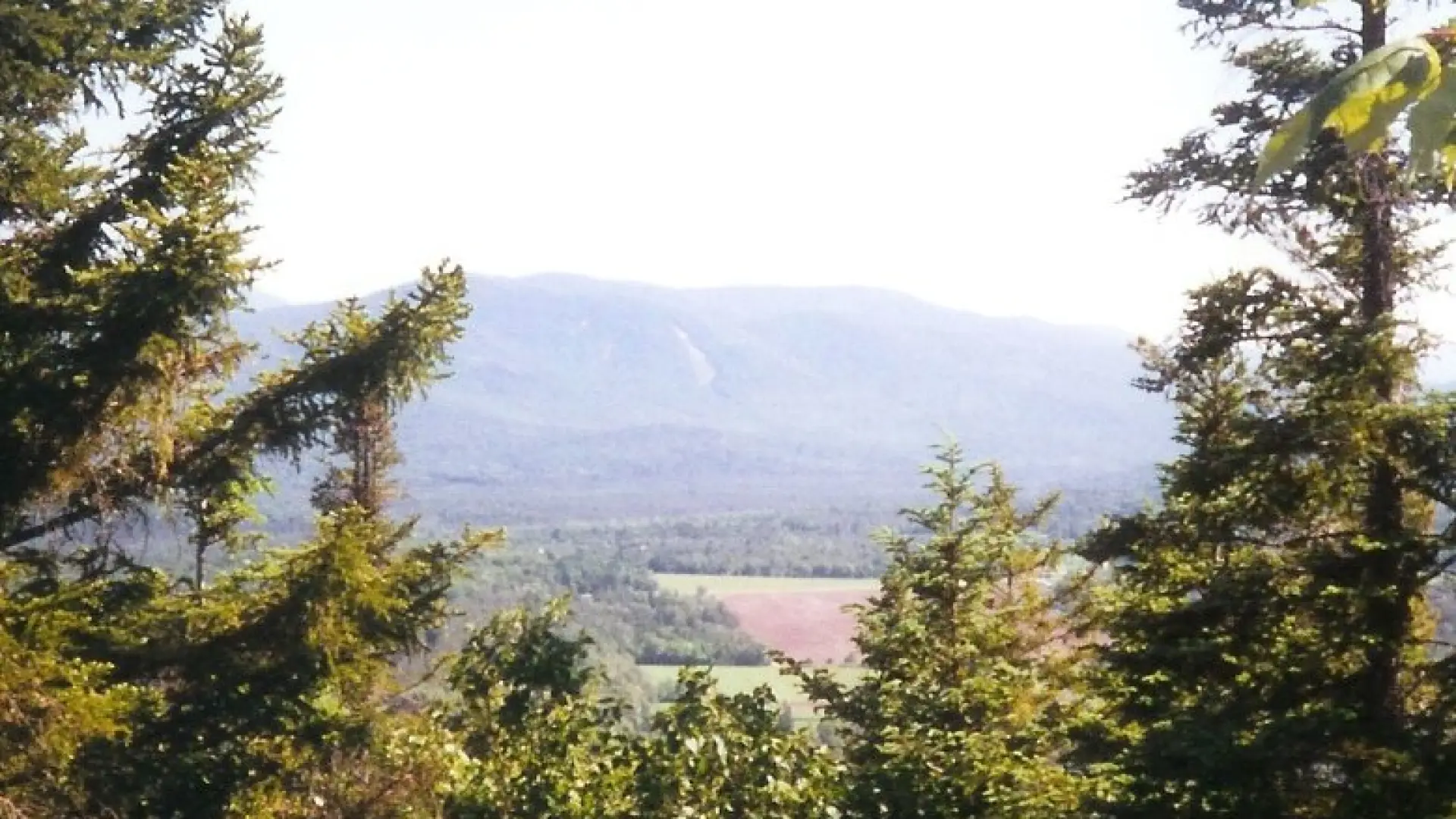 One of the views from Seymour