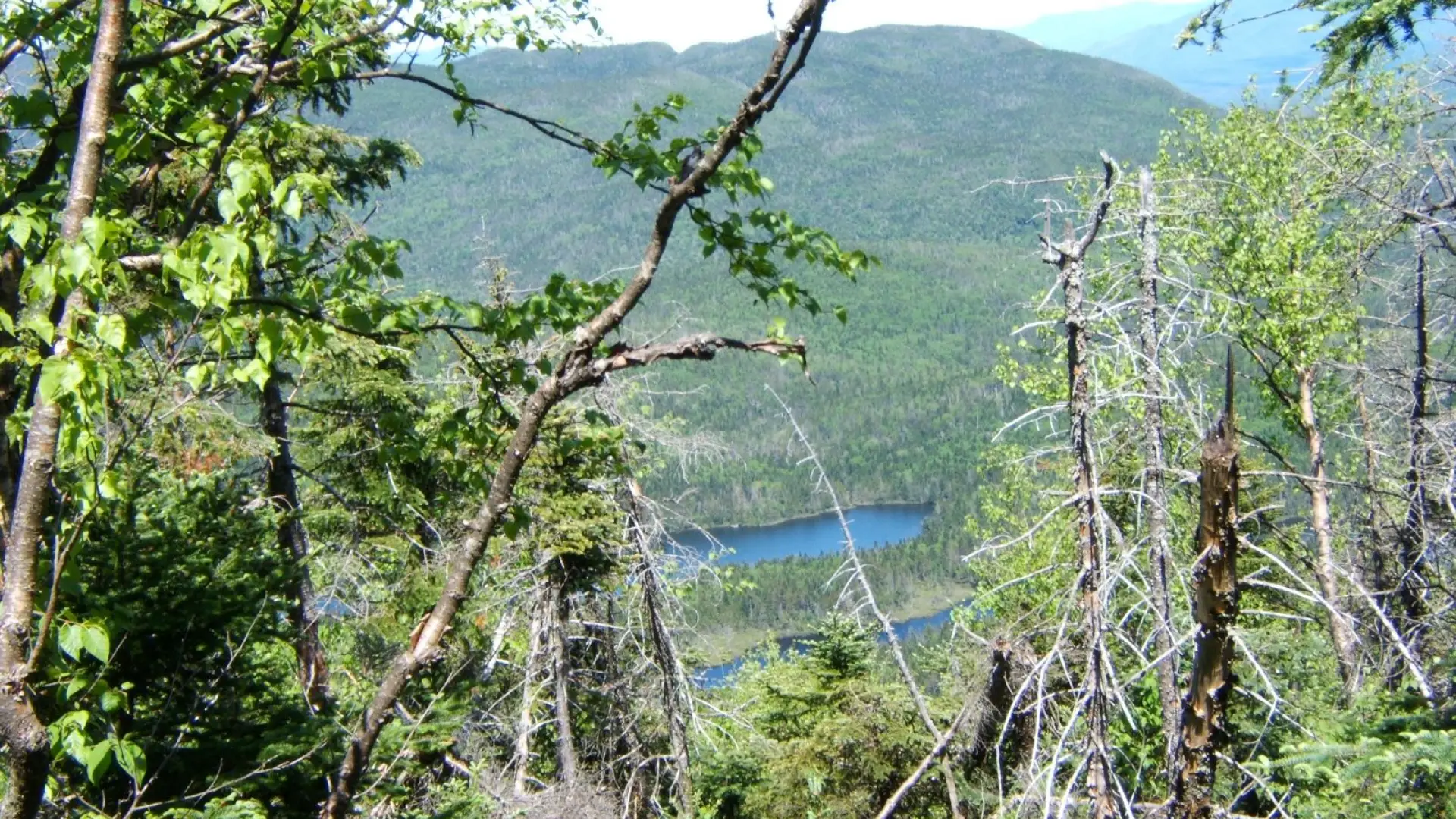 Wallface Ponds from MacNaughty