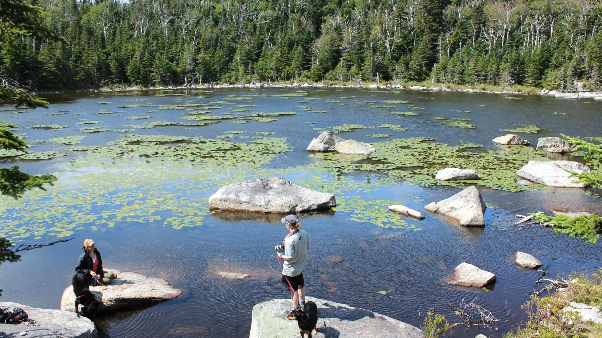 This scenic pond offers a treat for fishing and camping along with hiking.