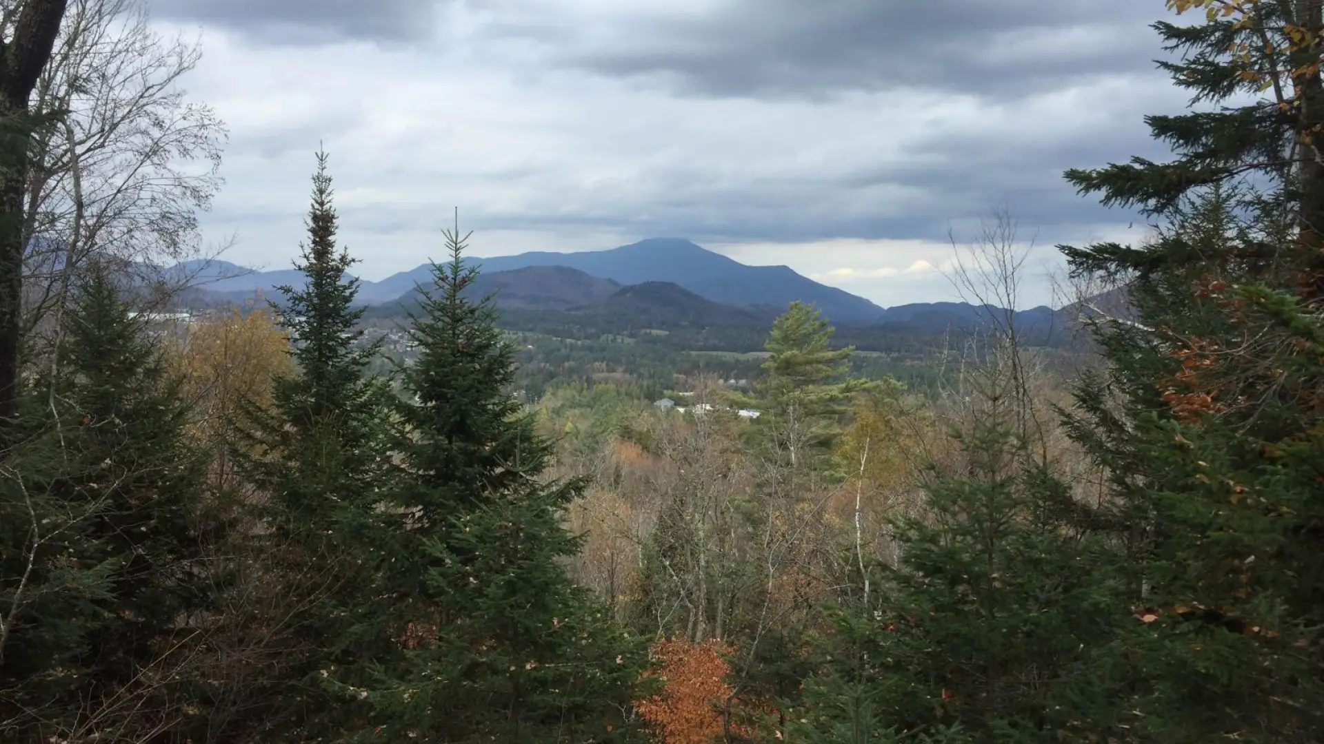One of the many fabulous views from Henry's Woods.
