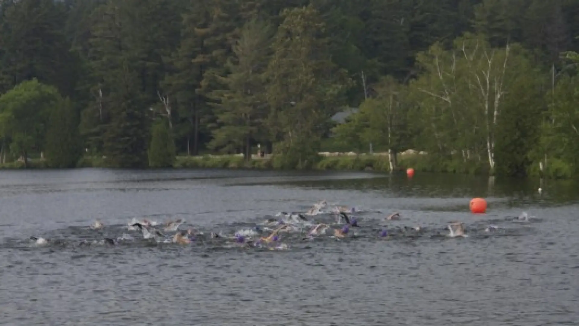 Swimmers make their way to the turnaround buoy