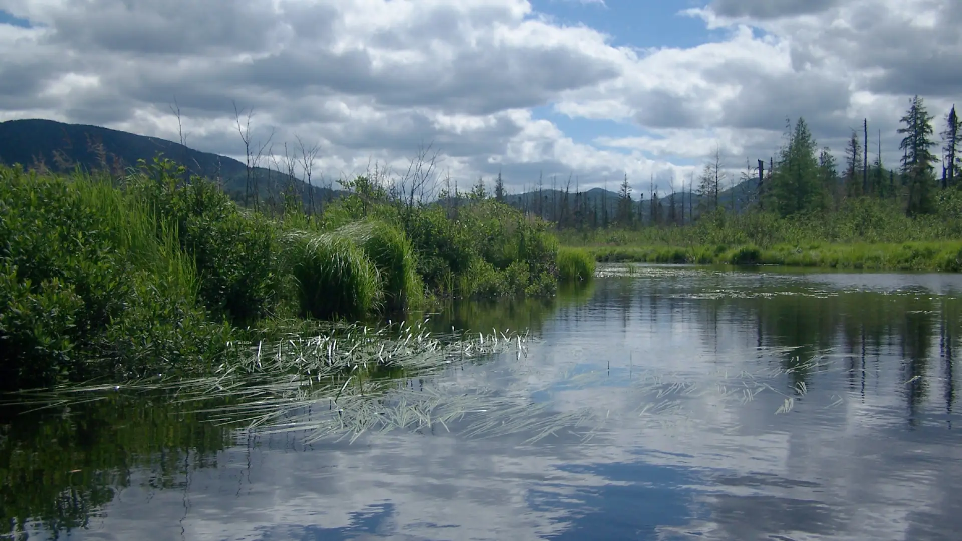 This river is bulked up from the dam in Lake Placid.