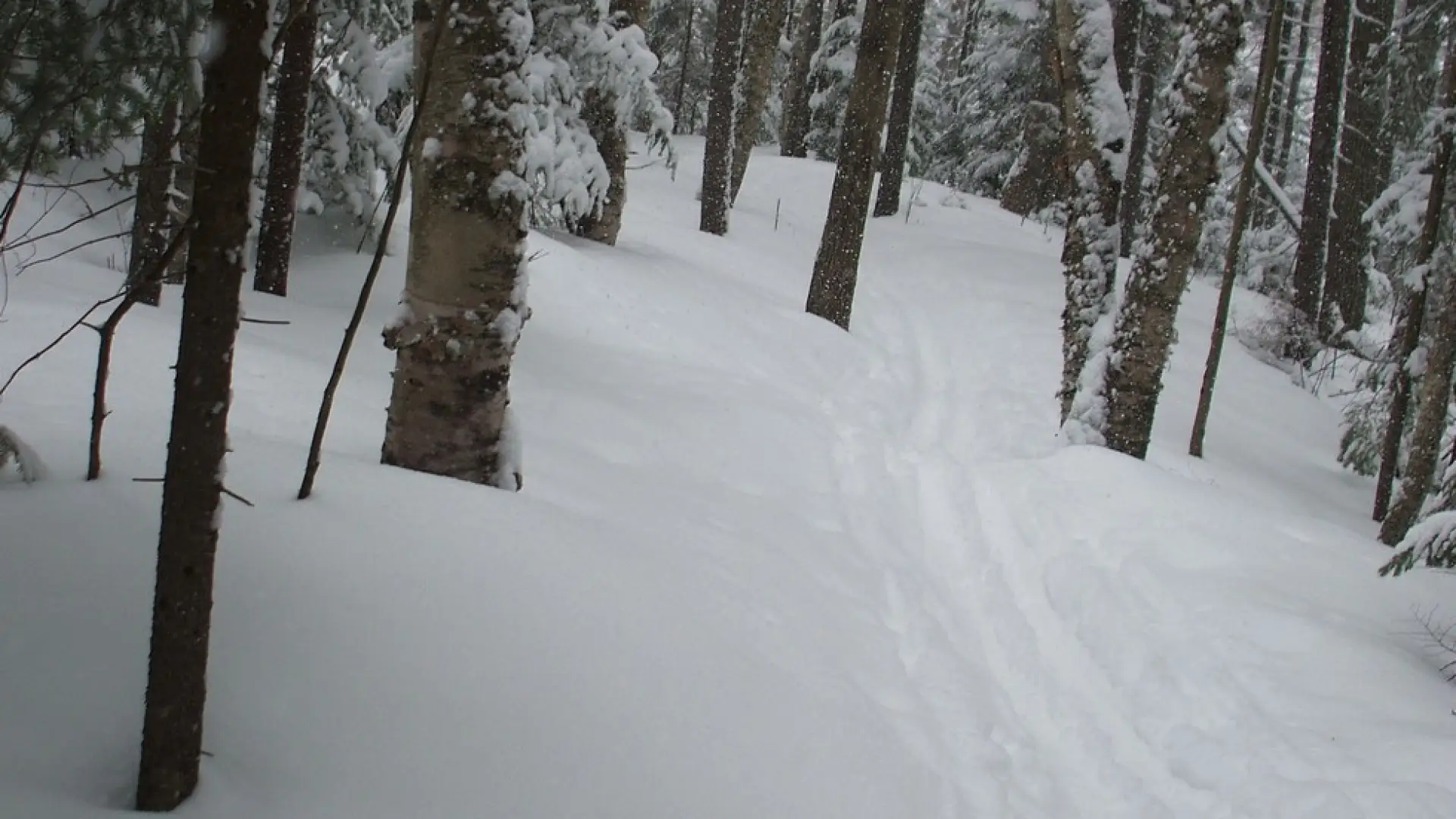 Great for winter cross-country skiing and snowshoeing.