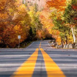 A scenic fall drive in Lake Placid.