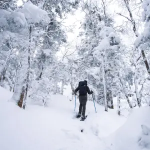 Snowshoeing in a snowy forest.