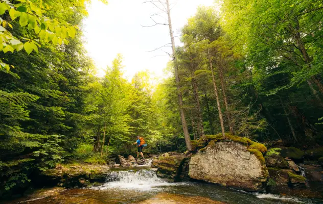 A man crosses a river in the woods.