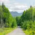 The Adirondack Rail Trail in the summer.