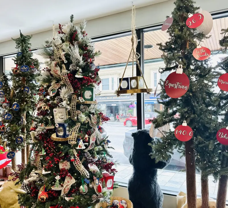Decorated trees in the front window of the store.