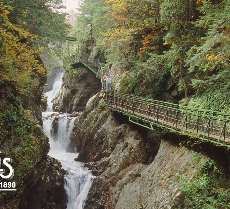 A view of the gorge from one of the awesome walkways