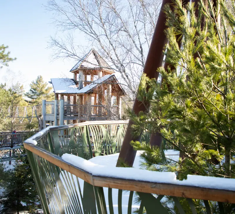 Winter view of The Wild Center's outdoor Wild Walk
