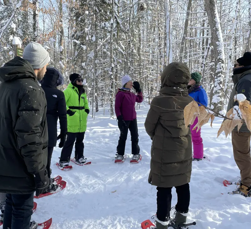 Group enjoying peaceful snow-covered forest