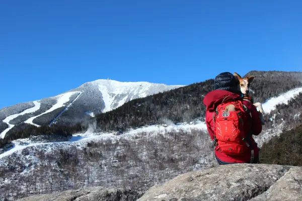 A hiker and their dog on Bear Den Mountain in the winter.