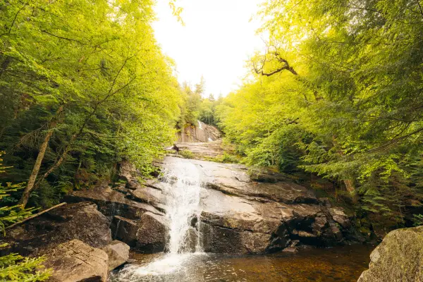 A fanning waterfall in the woods.