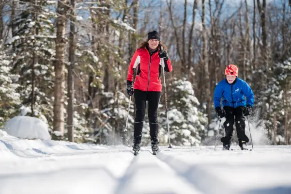 A woman and child cross-country skiing through the woods.