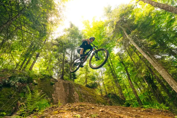 A mountain biker doing a jump on a wooded trail in the summer.