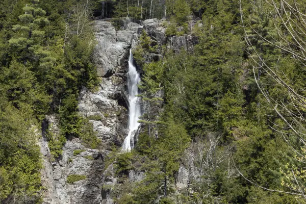 A waterfall amongst trees in a craggy landscape.