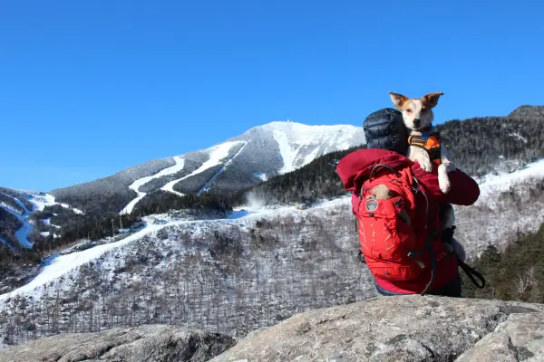 A hiker with their dog on a winter summit