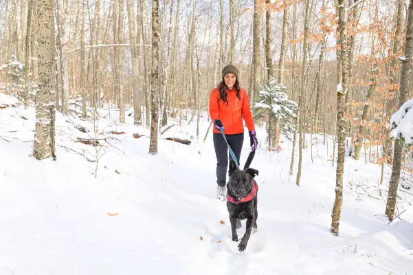 A woman walking her dog on a snowy trail.