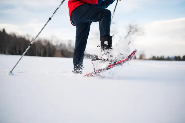 A person snowshoeing through a snowy field.