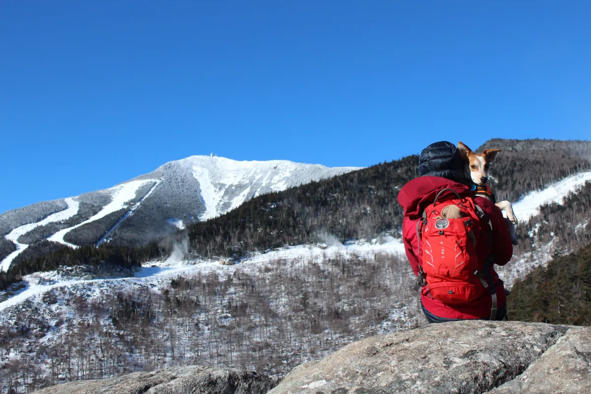 A hiker and their dog on Bear Den Mountain in the winter.