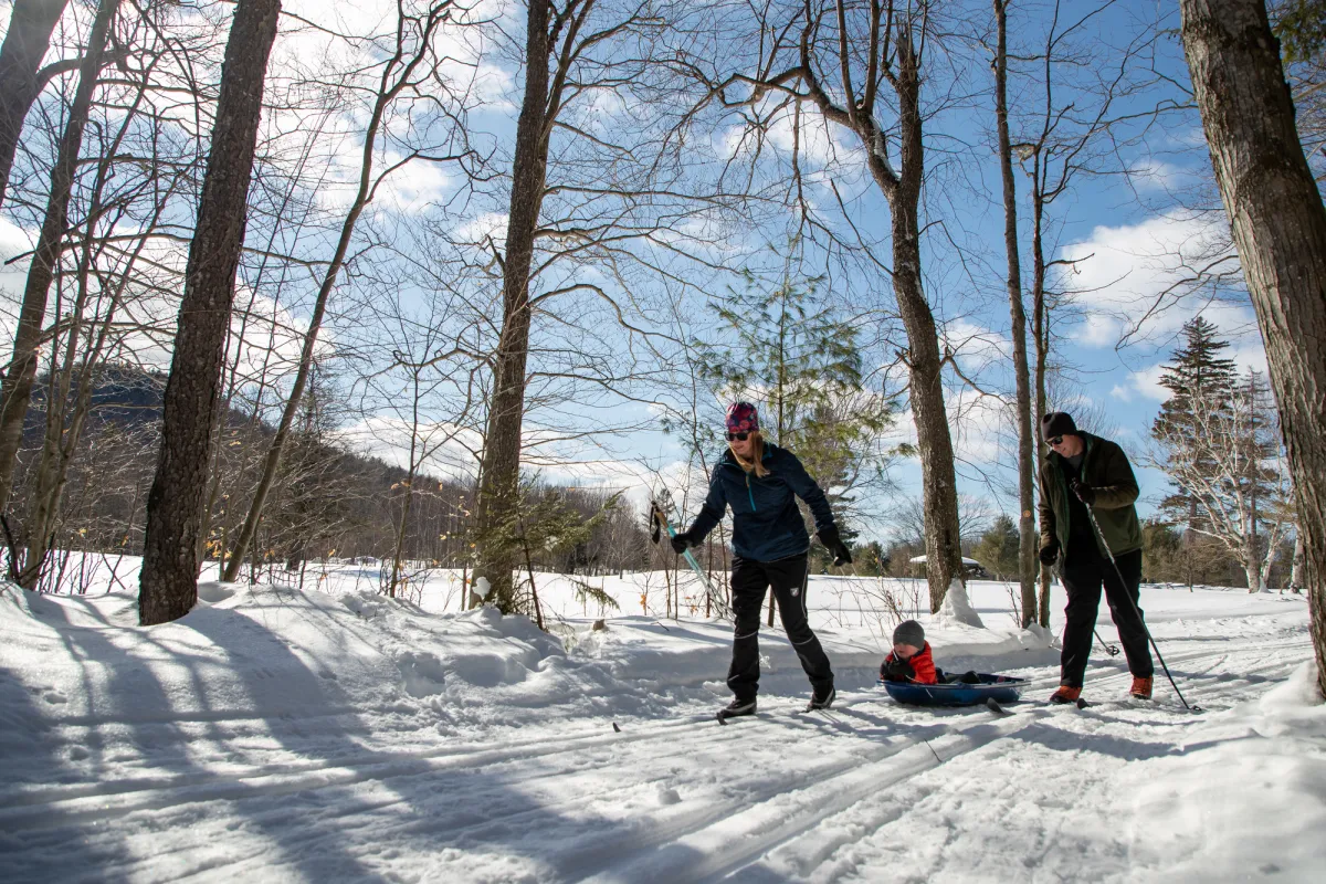 Two people cross-country skiing through a sunny, snowy forest.