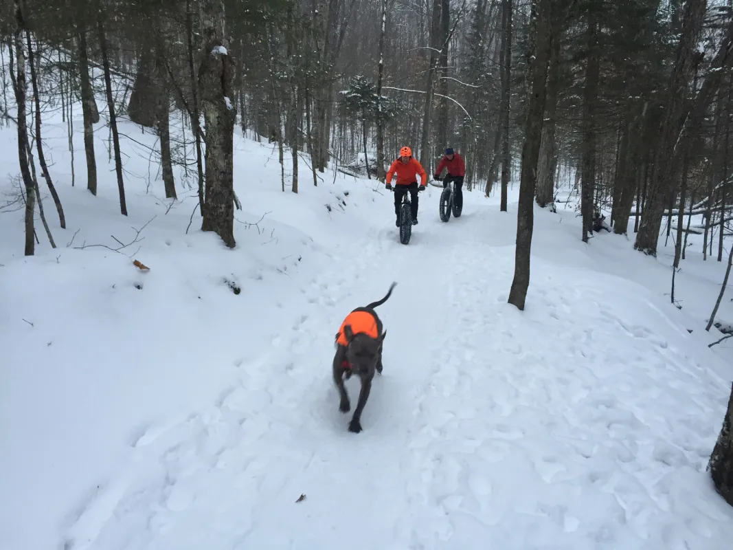 Two fat tire bikers and their dog on the trails