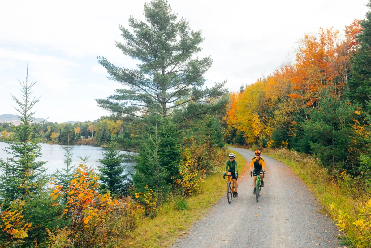 Two people ride bikes on a fall path. 