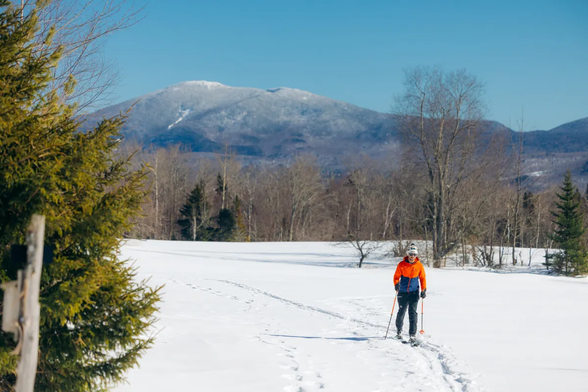 A cross country skier in a field.