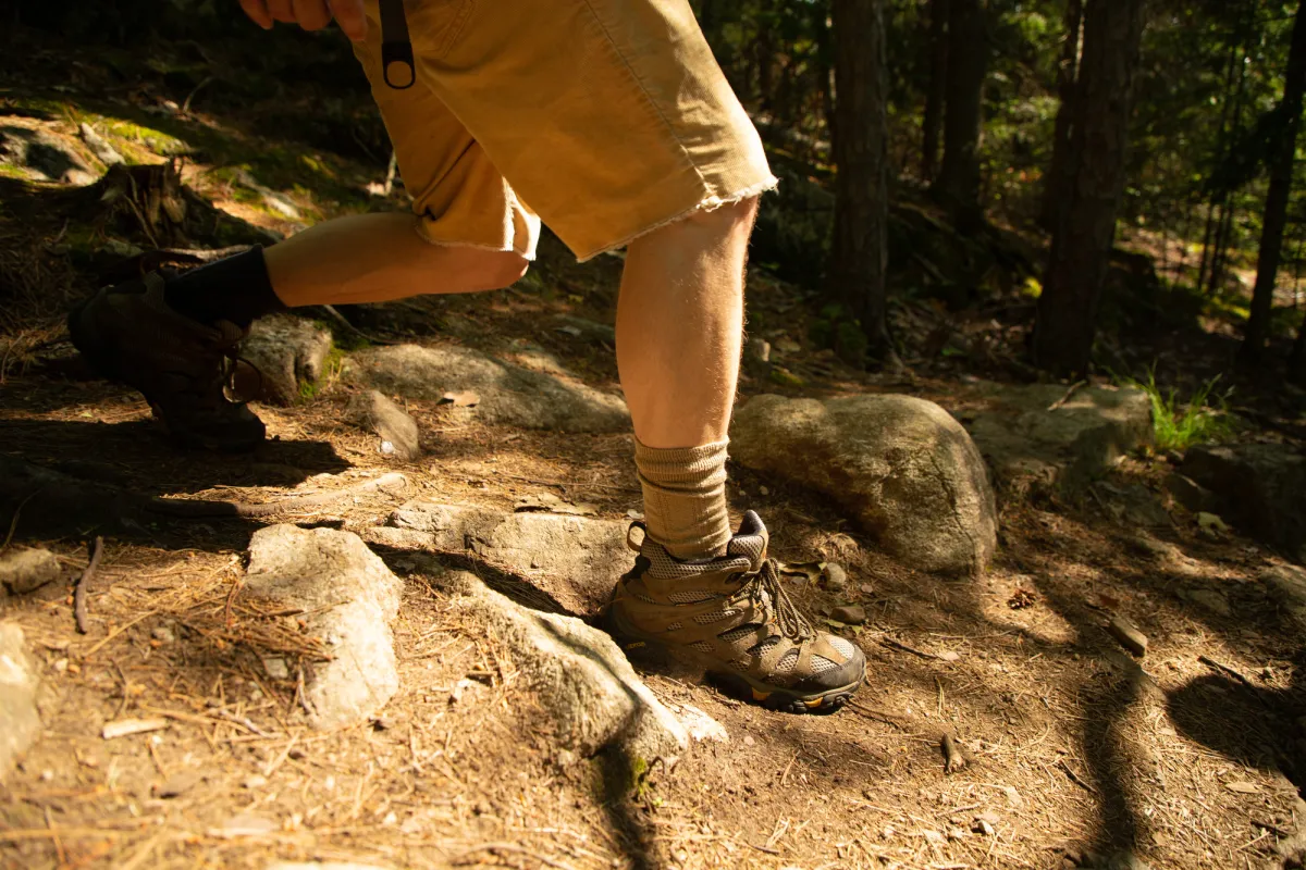 A hiker's legs