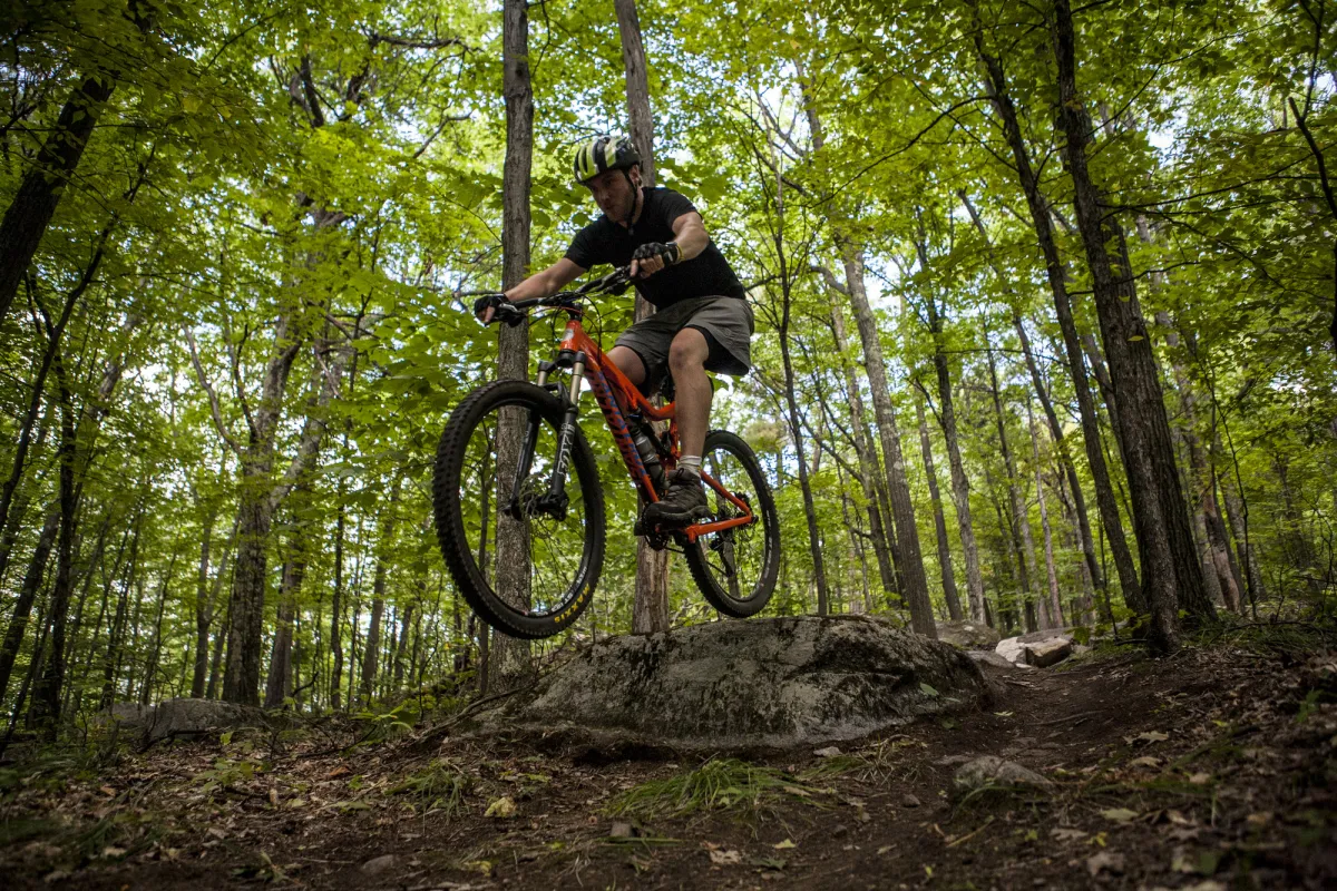 A man riding a mountain bike through a wooded forest in the summers.