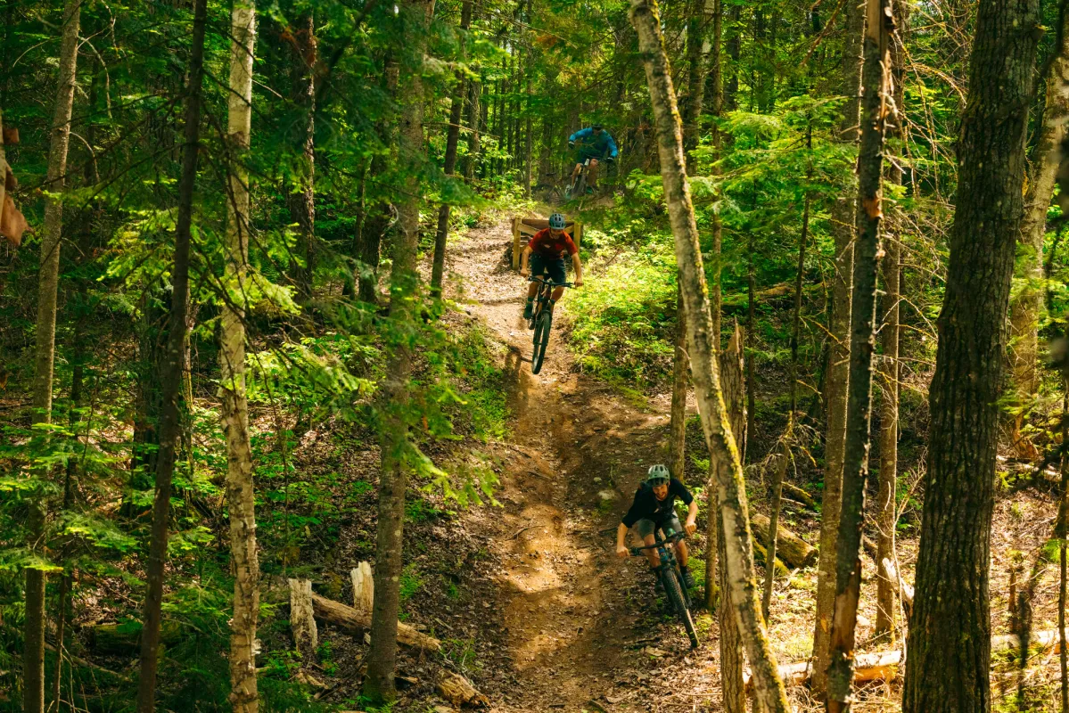 A bunch of riders on Craig Wood mountain biking trails