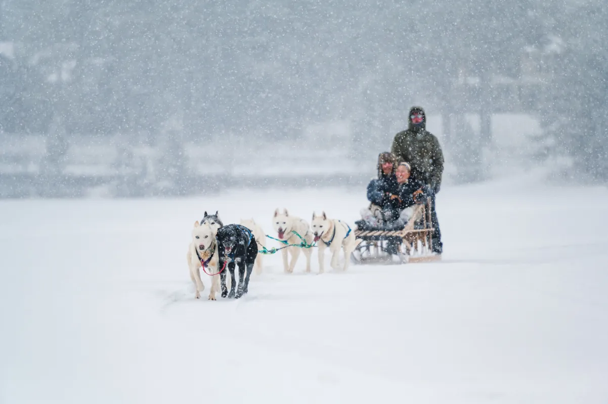 Two people pulled in dog sled by one person across frozen lake in snow